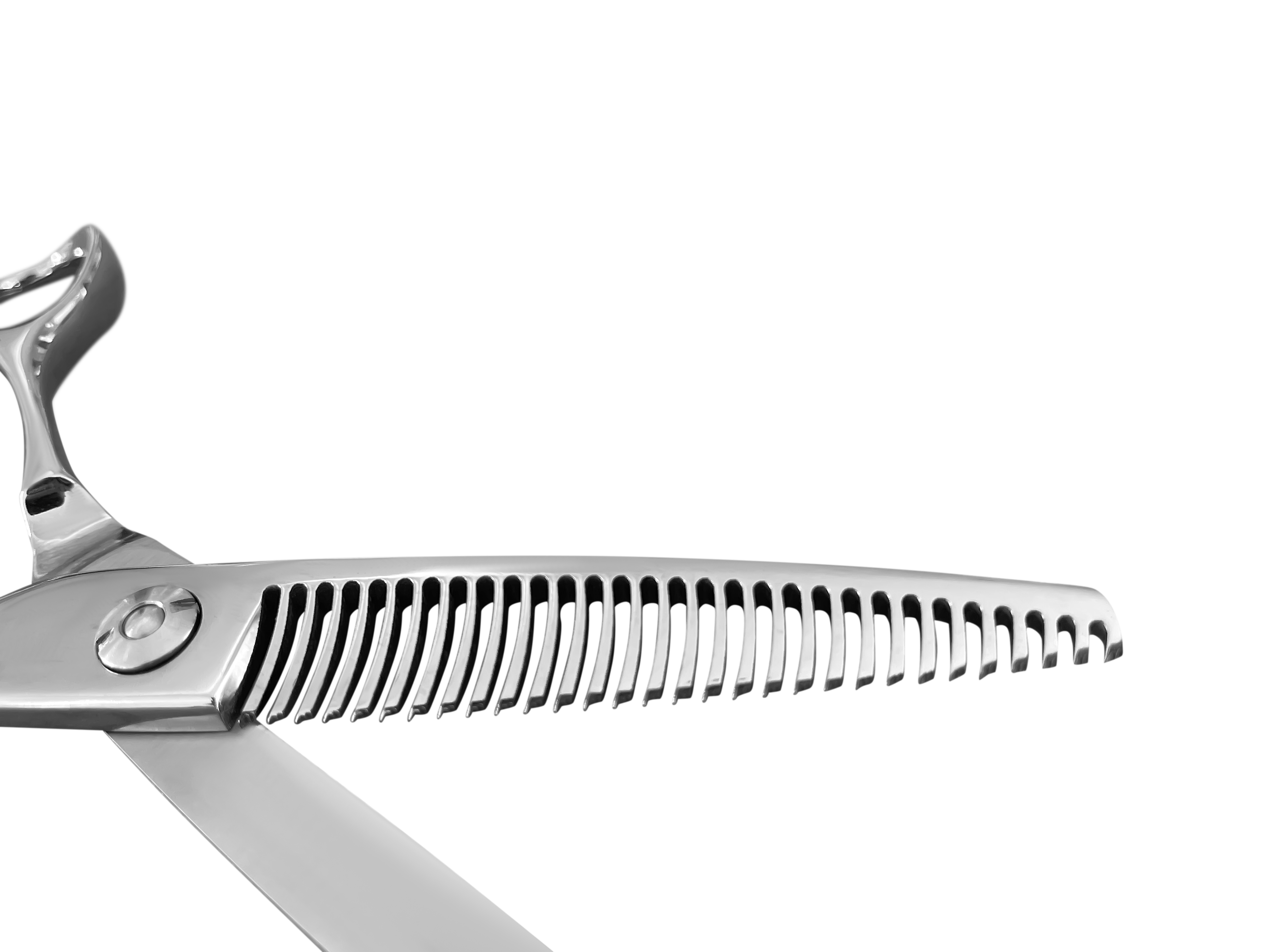 Attachment_1642494364_42_copy